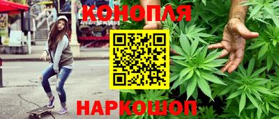 спайс Малгобек